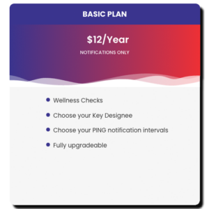 Basic Annual